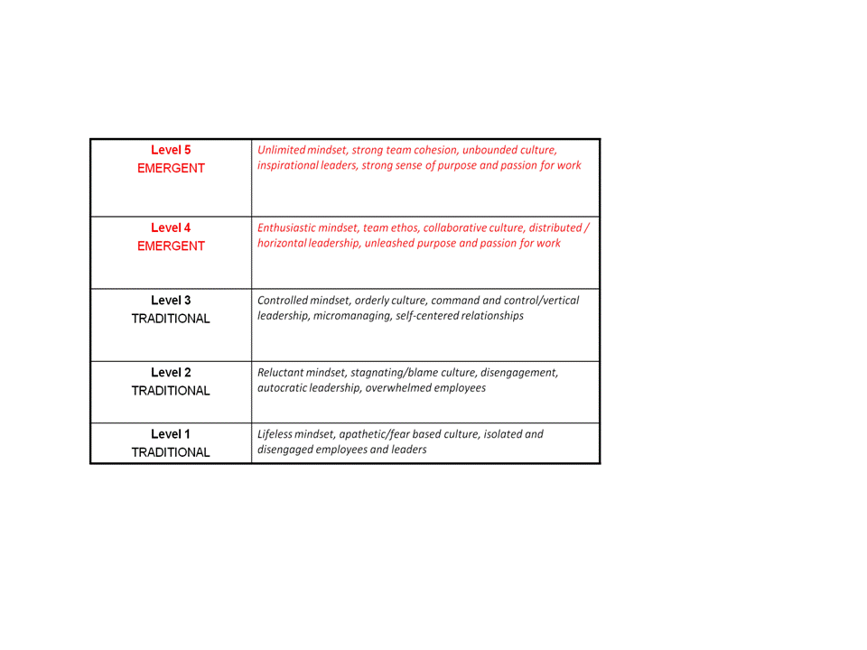 Description of 5 Levels of ELM
