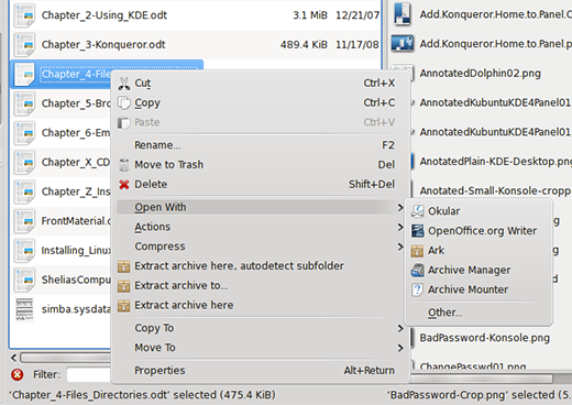 Dolphin Screenshot 16
