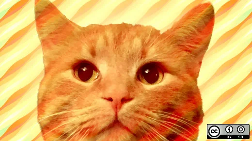Unleashed: Open source tech for pets and animals