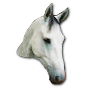 My Horse's head hackergotchi