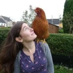 User profile image.