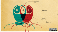 left and right brain