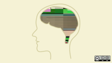 A brain design in a head