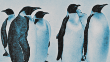 Top 5 Linux pain points in 2017
