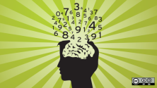 Open data brain