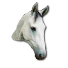 My Horse's head hackergotchi